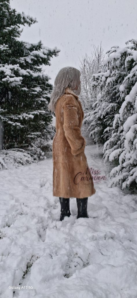 Lumii 20260103 113353412