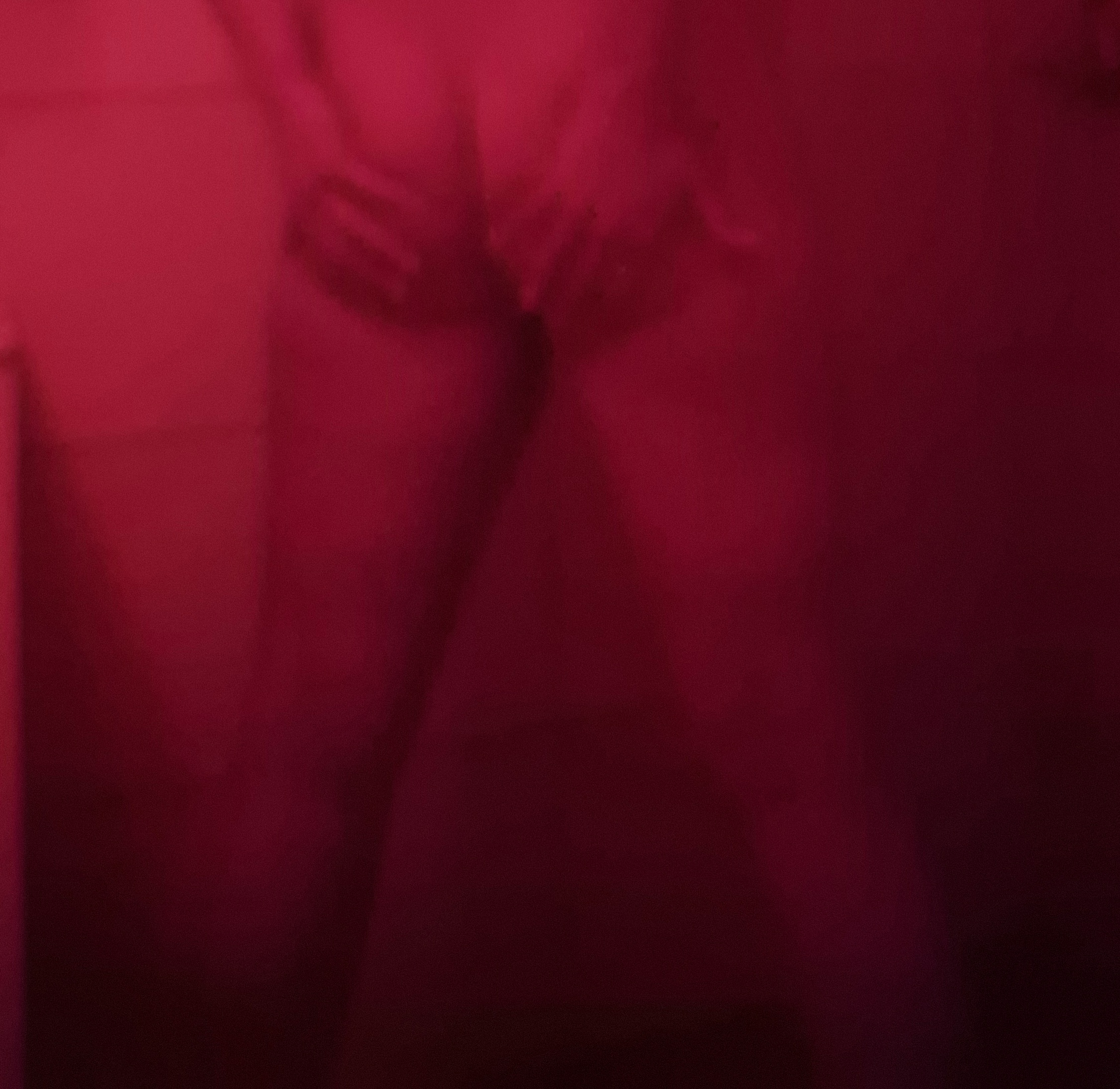 Lass mich dein Top Secret sein 🤫